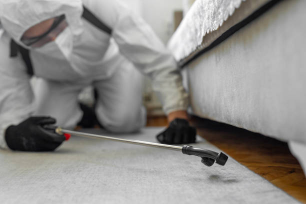 Professional Cockroach Control technician working in Nora Springs, IA